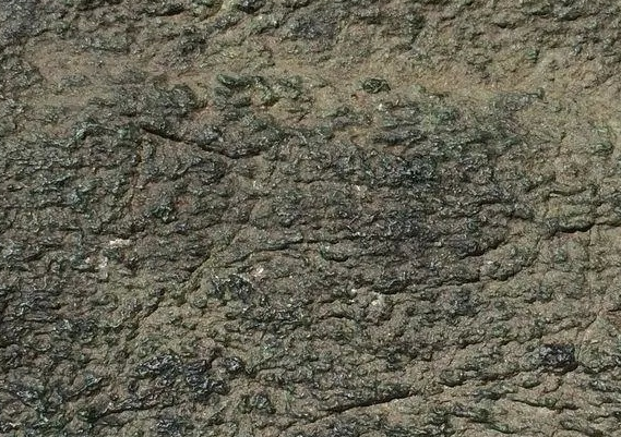 翡翠|翡翠蟒带是什么，翡翠原石中为什么存在蟒带？