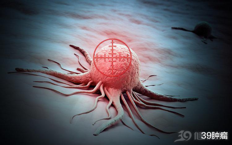 [肝脏]蒲公英根48小时内可杀死98%癌细胞，这一说法是真的吗？