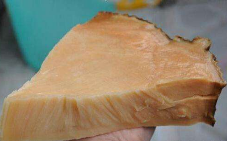 科学家|太岁到底有多强大?科学家深入调查研究后:早已跳出自然生态法则