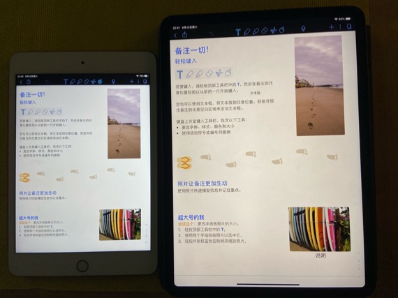ipad mini|iPad mini这两年可能不会更新了，但iPad mini5还是值得购买