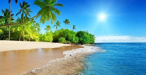 #运势#6月3号开始，财运鲤鱼跃龙门，一飞冲天，钞票如雨的3大生肖