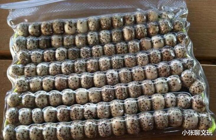 星月菩提|玩星月菩提要注意的六点，早知道早避免，省得浪费过多时间