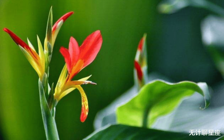 生肖|十天后，会遇到最佳伴侣的4个星座，相濡以沫，白首到老