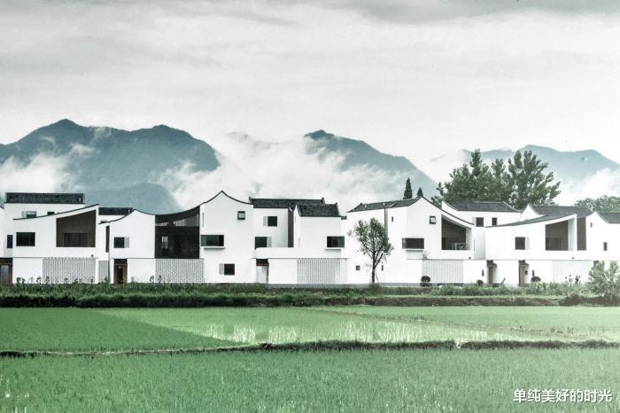 为什么明明是免费帮刷白墙，村民就是不愿意？原因很现实