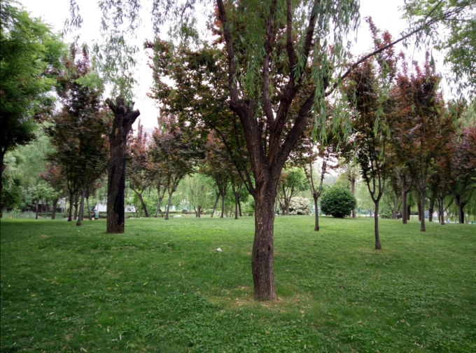 秦岭|秦岭扯袍峪森林公园攻略