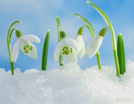 白羊座|能够凭借自己实力让身边人认可,发家致富的三大星座