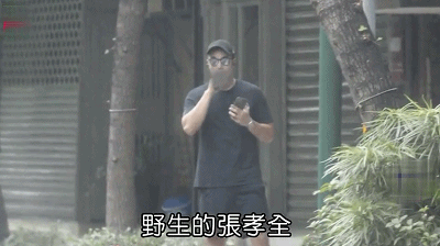张孝全|男神张孝全神秘妻子首曝光，气质高贵长相甜美，像男方前女友万茜