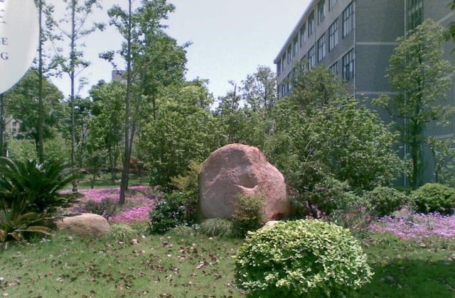 『高校』两所470—520分左右录取高校,一二本招生,性价比很高,值得报考