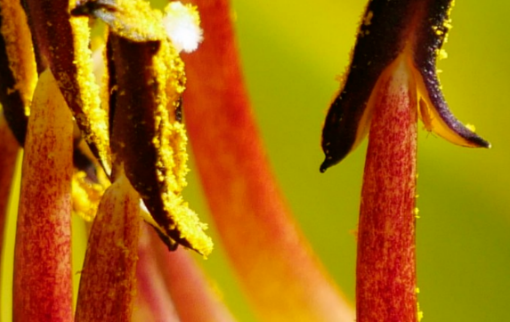 旧爱|十月下旬开始，事业蒸蒸日上，运势上佳，横财加身的生肖