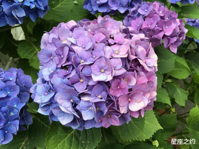 白羊座|在8月份,打破常规,奋发向上,扬帆起航的三大星座