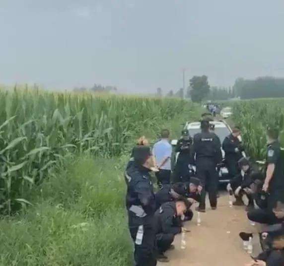 穷凶极恶!嫌疑犯拿了百万赎金后将12岁女孩杀害潜逃,目前已被抓获