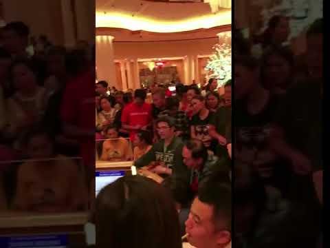 河南都市频道|赌神背267万现金机场被拦，称：钱不要了，别耽误我打牌