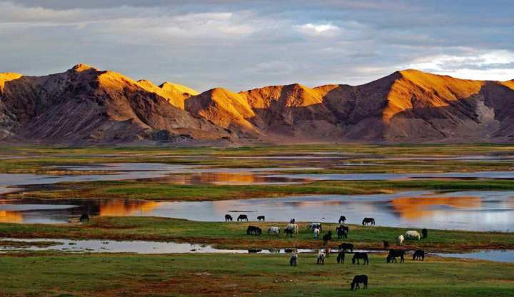 旅行|暑假旅行千万别来这9个地方，因为我怕你会不想回来！