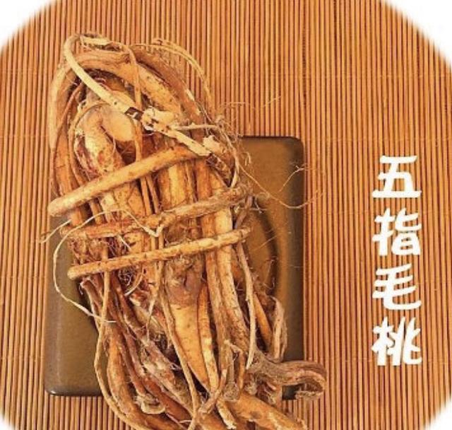 [黄芪]五指毛桃营养丰富，煲汤最好，五指毛桃和哪些食材一起煲汤最好？