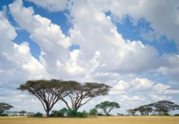 星座爱情观|8月5号开始，4属相有福有禄，有权有势，生活平安顺心