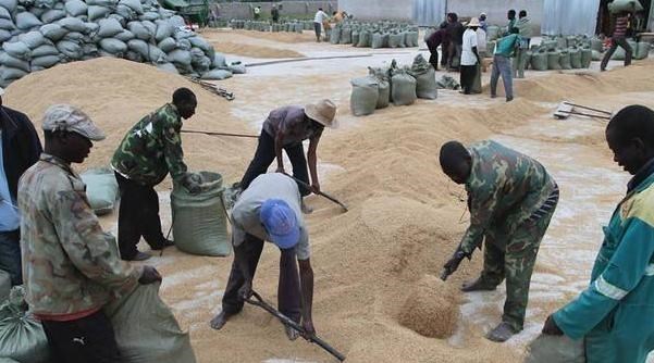 【非洲】在非洲的16万中国人，为何不愿意回国？听听当地中国人是怎么说的