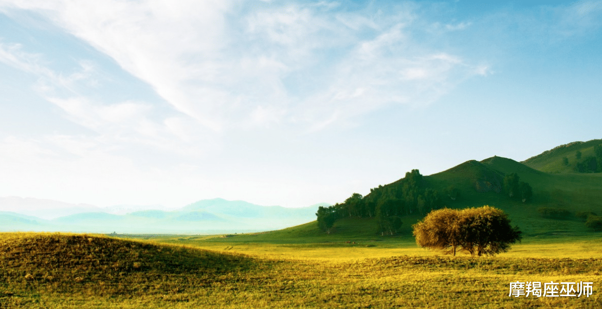 生肖|11月，风雨不改，大胆追爱，宠爱旧情人，爱恨纠缠，不忍离别