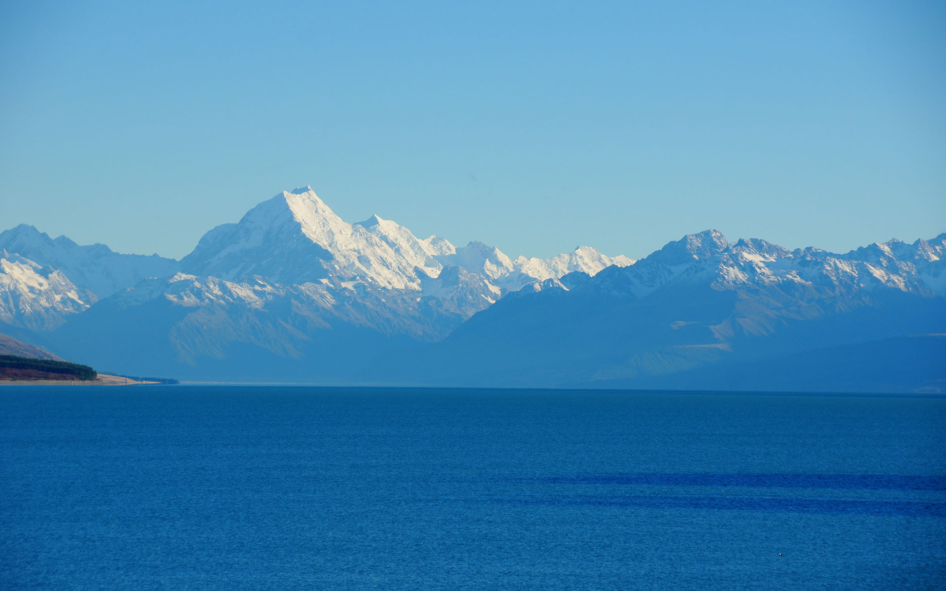 狮子座|11月，借时光之手，暖一树花开，3星座于凉薄之冬，让冬意暖暖
