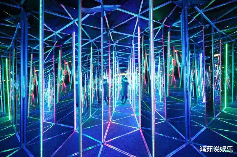 ?蚂蚁并非是“二维生物”,科学家发现多维度空间,人类一直理解错了!
