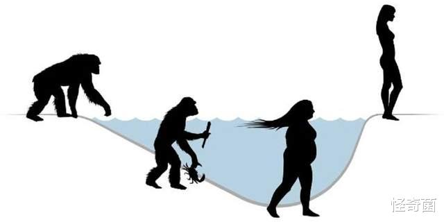 人类的起源|人类是由古猿进化而来？第二种起源猜想，颠覆你的认知