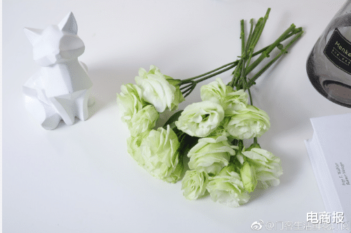 电子商务|2块钱的花与4000起投诉，鲜花电商\门客生活\的凋零之路