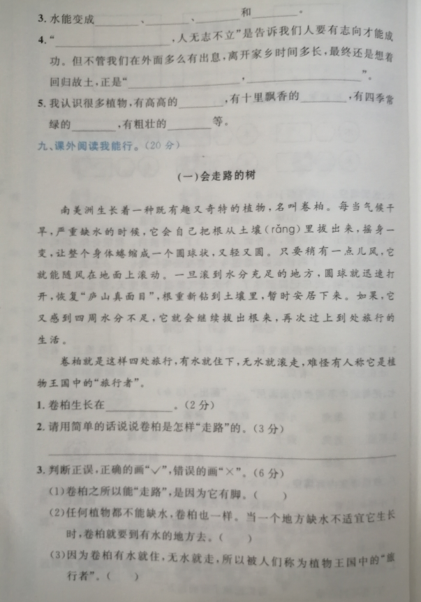 单元测试|二年级上册语文第1单元测试卷,开学打好基础,加强字词训练