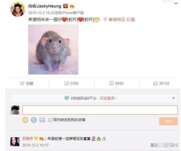 郭碧婷▲郭碧婷爸爸自称外公，向太母子点赞留言，鼠宝宝已在孕育中？