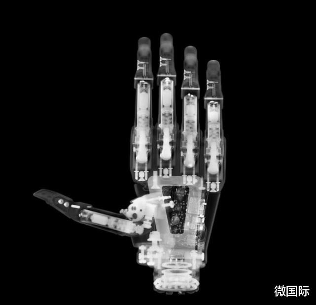 x光|X光线下的世界，完全颠覆我们的想象，抽烟、唱歌原来是这样