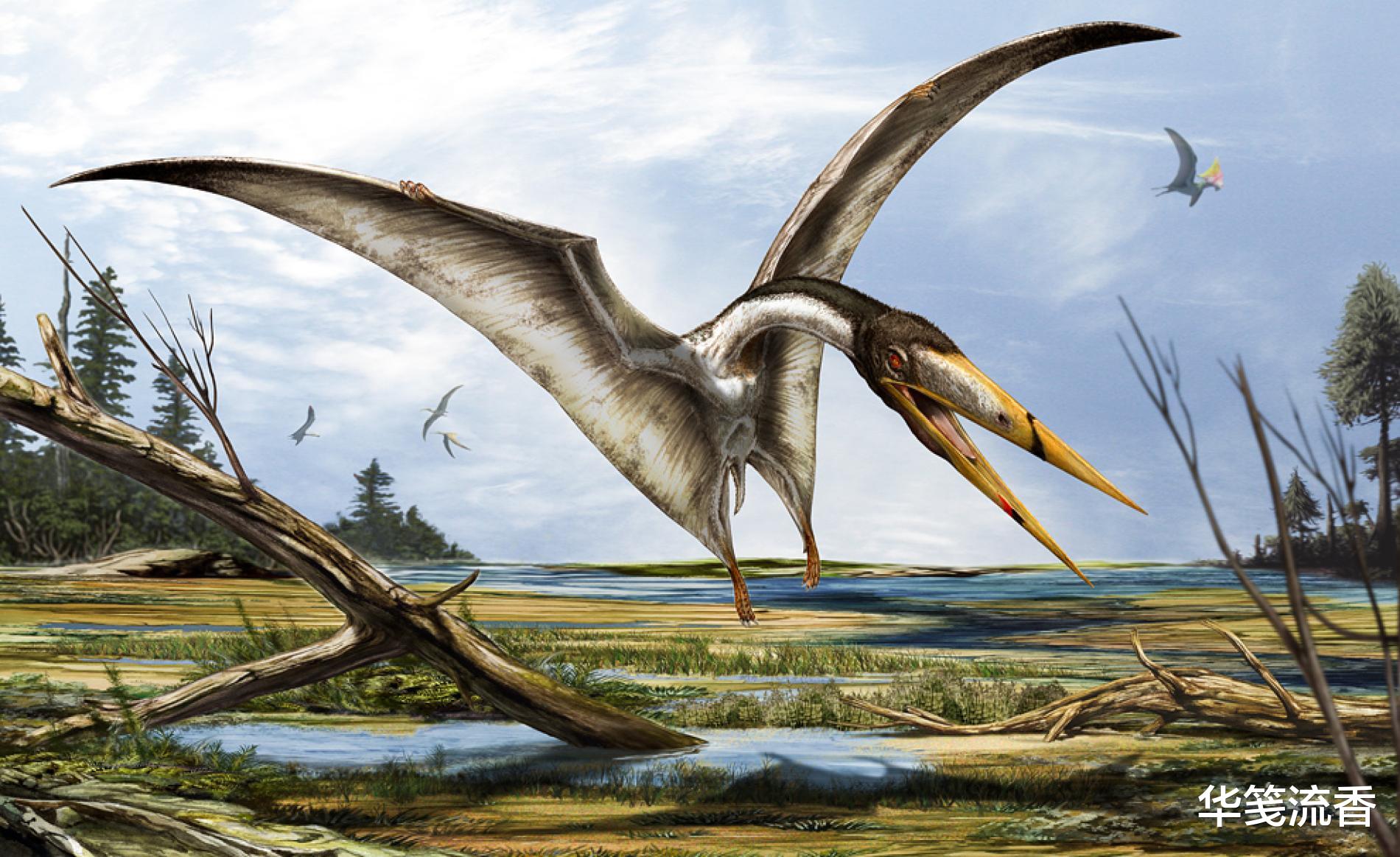 |外星发现生物排泄物,生命形象引发猜想,或如巨鲲,可浮于空中