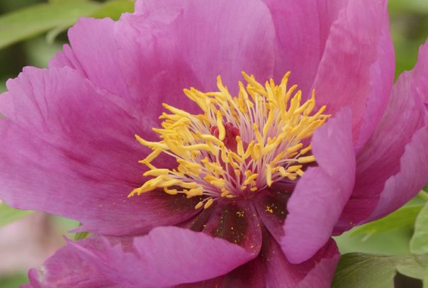 【运势】未来六年好运附身，有贵人相助事业步步高升，财运日进斗金