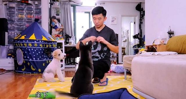 晒晒杨迪如今住的房子，厨房连橱柜也没有，勺子什么都是挂在墙上