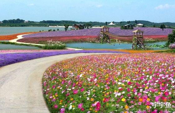生肖|8月下旬财星高照，4属相运势步步高升，财源广进，生活迈向幸福
