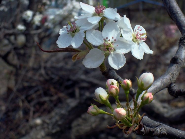 生肖|十月上旬，前缘不散，藕断丝连，将重新找回旧爱的四大星座！