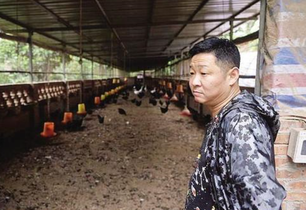 『赵亮』张国立张铁林免费吃赵亮养的鸡？养鸡户三德子说了这样一段话