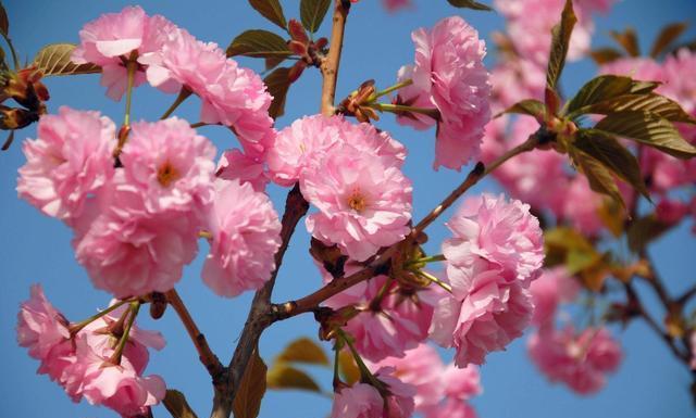 处女座|翻脸无情的几大星座,非常喜欢冷战,和另一半相处从不退让