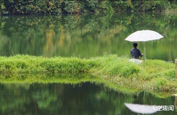 |全球最贴心的酒店，开门就能钓鱼，房间浮在水面上