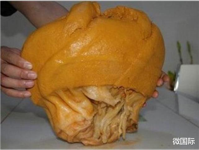 科学家|“太岁”到底是什么生物？科学家给出答案：它违背了自然规律