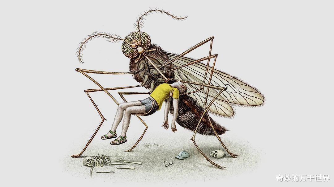 世界上有多少只蚊子?其成虫很难生存15天,为什么无法灭绝它们