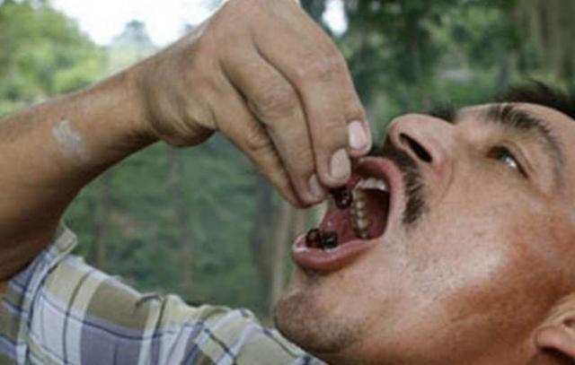 @吃蚂蚁“上瘾”地方，一口一个嘎嘣脆，网友：但凡有粒花生米也好