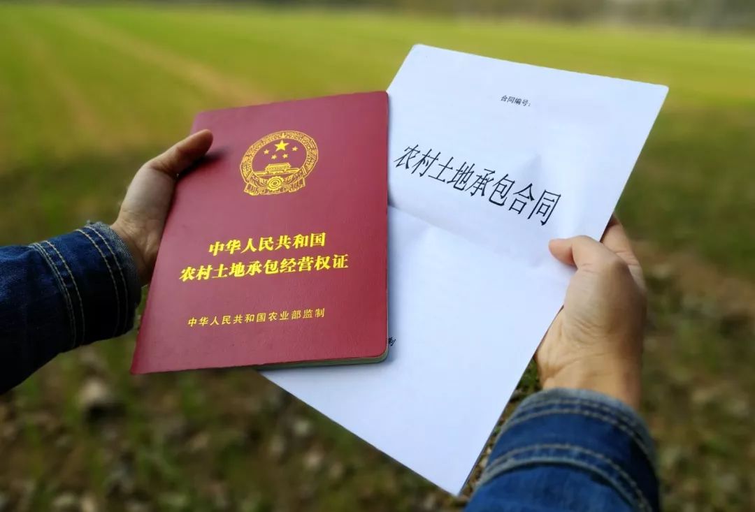 [鸡蛋]2020年，农村外嫁女有福了，5项权益等你领取，你领到了吗？