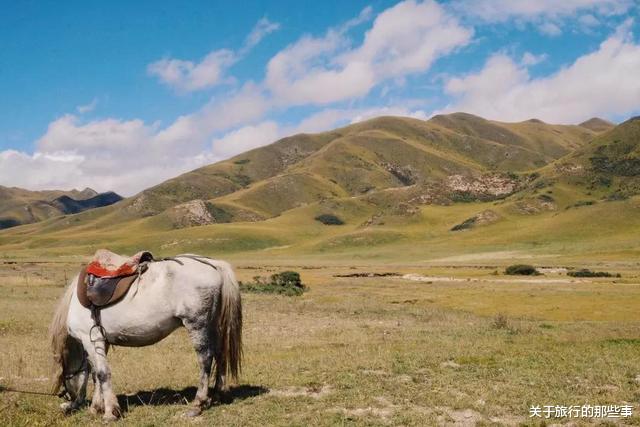 「西藏」除了海拔，这里拥有西藏所拥有的一切，还比西藏更宜居