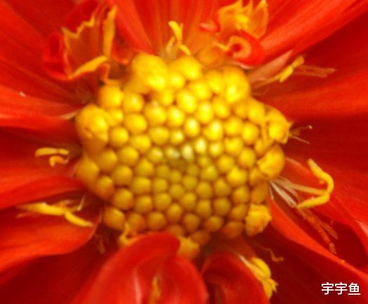 属狗|9月开始，运气越来越好，4属相喜讯频传，求财得财，心想事成