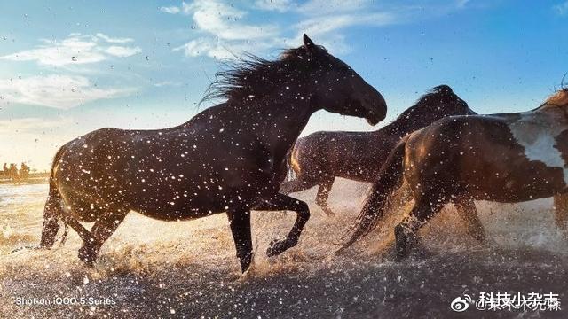 iqoo|iQOO 5超能竞速来袭!120W+120Hz+More令你大开眼界