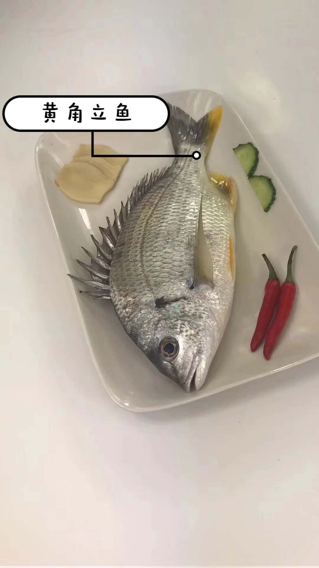 []儿童天然营养品