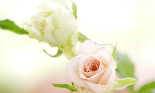 生肖|八月，想啥来啥，鸿运当头，4生肖生活丰衣足食，事业扶摇直上