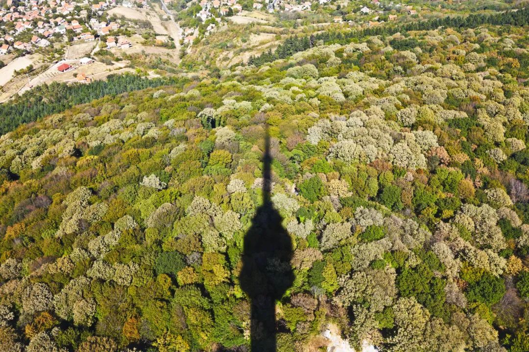 #欧洲#这位含泪求助的总统身后，是首个对中国免签的欧洲国家，美极了！