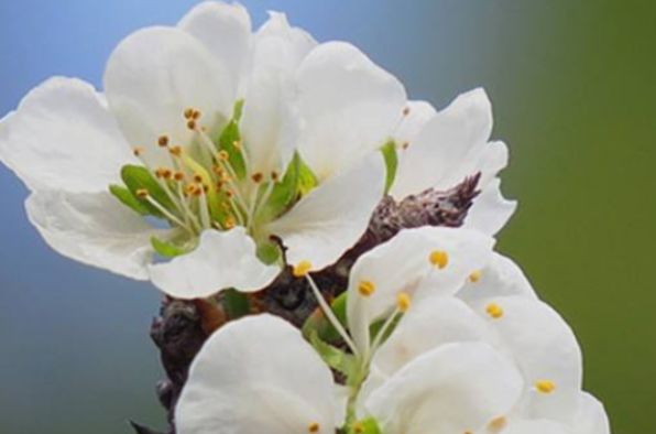 生肖|在9月份，财运爆棚，钱财大旺，财源广进的4大生肖