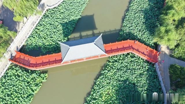 许昌报业传媒集团|市民镜头下的许昌，美出了新高度