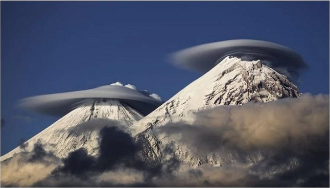 蜘蛛|涨姿势了，26张图告诉你世界又多奇妙！