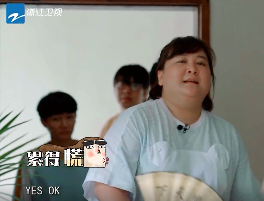 贾玲■贾玲，你该减肥了！